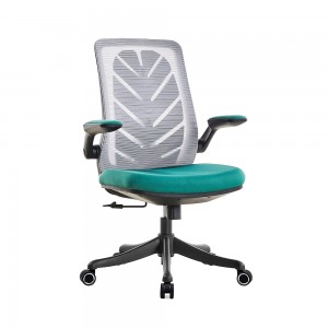 ��ǰ ������